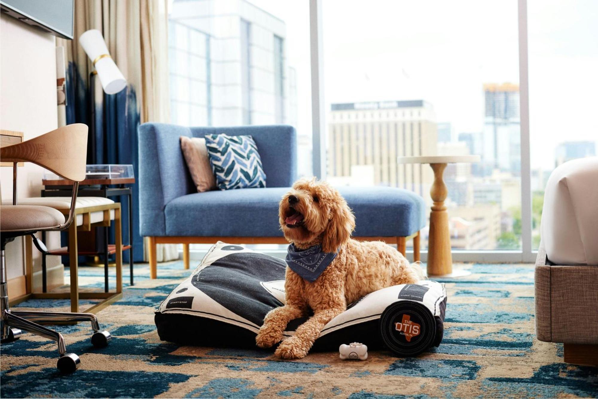 The Otis Hotel Austin, Autograph Collection מראה חיצוני תמונה